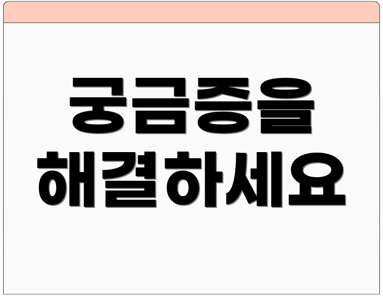 궁금증을 해결하세요