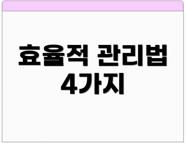 효율적 관리법 4가지