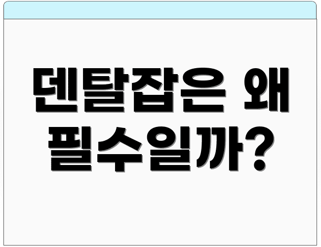 덴탈잡은 왜 필수일까?