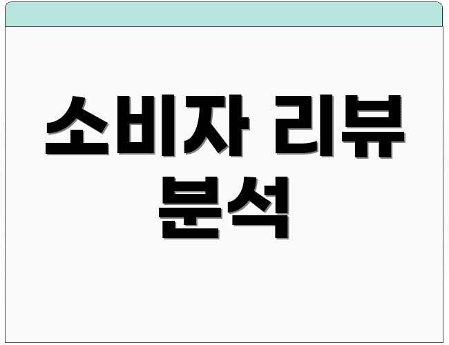 소비자 리뷰 분석