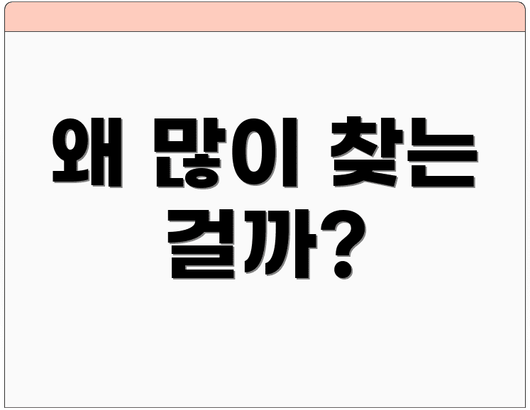 왜 많이 찾는 걸까?