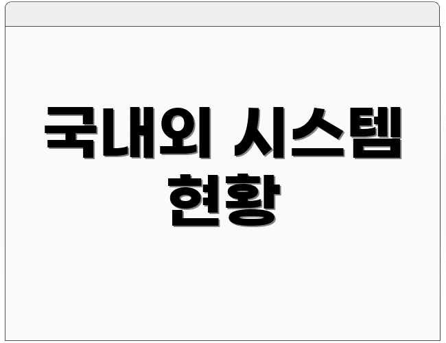 국내외 시스템 현황