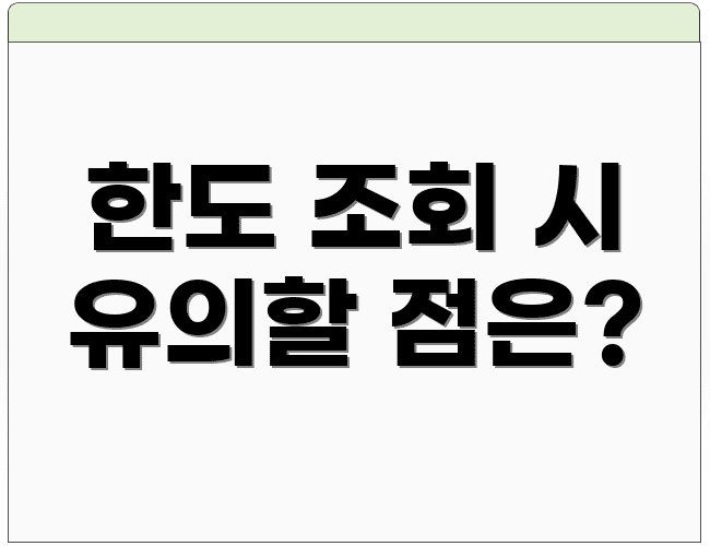 한도 조회 시 유의할 점은?