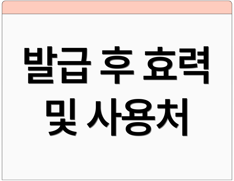 발급 후 효력 및 사용처