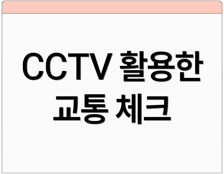 CCTV 활용한 교통 체크
