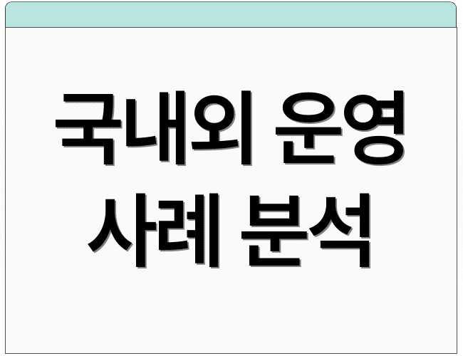 국내외 운영 사례 분석