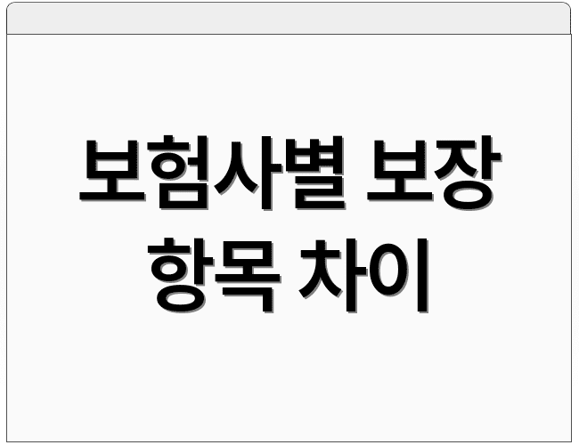 보험사별 보장 항목 차이