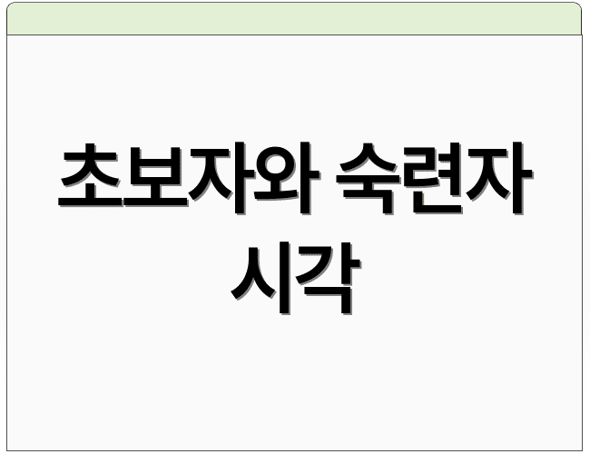 초보자와 숙련자 시각