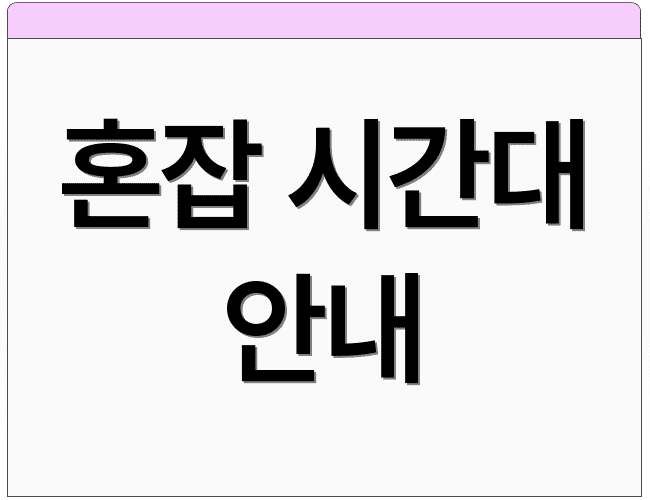 혼잡 시간대 안내