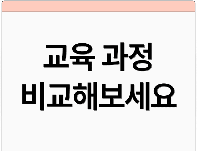 교육 과정 비교해보세요