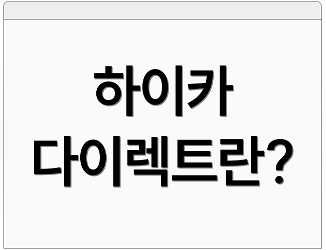 하이카 다이렉트란?