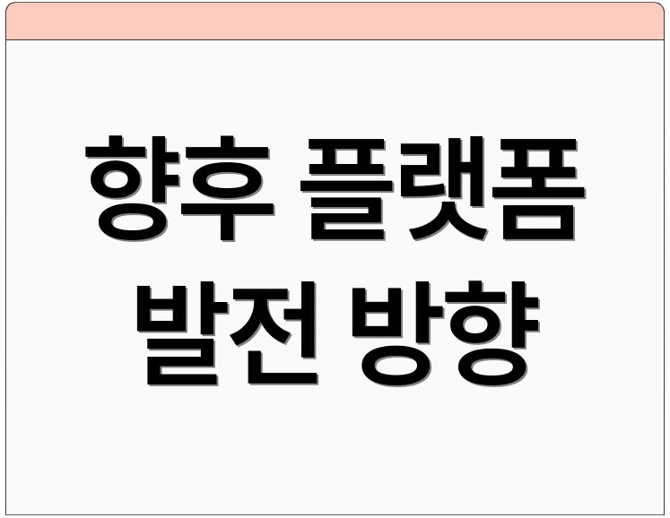 향후 플랫폼 발전 방향