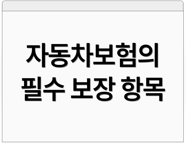 자동차보험의 필수 보장 항목