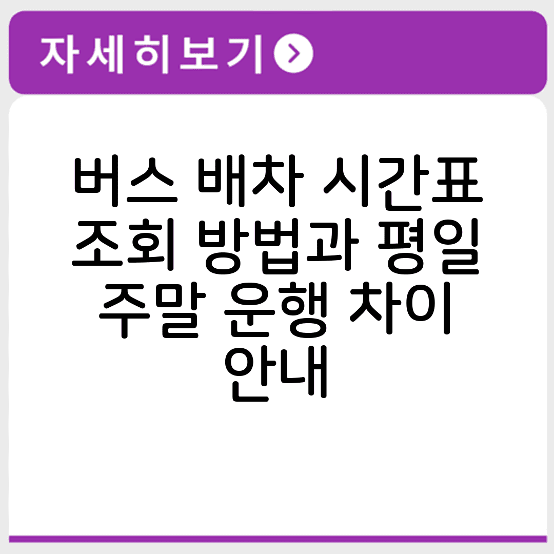 버스 배차 시간표 조회 방법과 평일 주말 운행 차이 안내