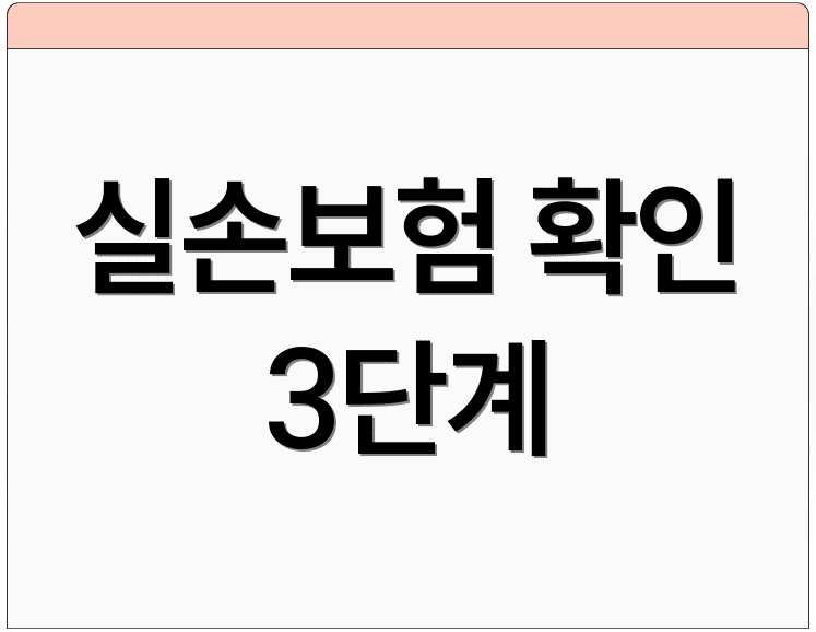 실손보험 확인 3단계