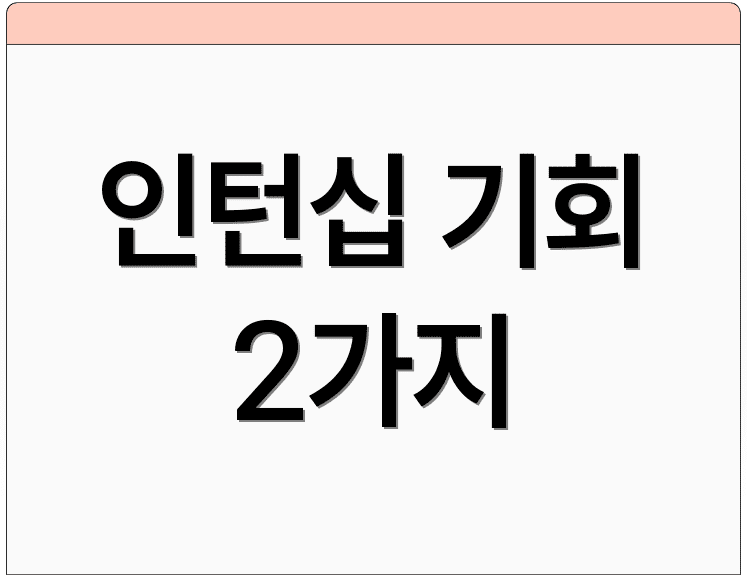 인턴십 기회 2가지