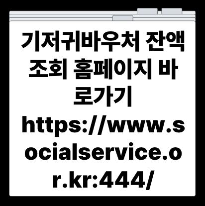 기저귀바우처 잔액조회 홈페이지 바로가기 https://www.socialservice.or.kr:444/