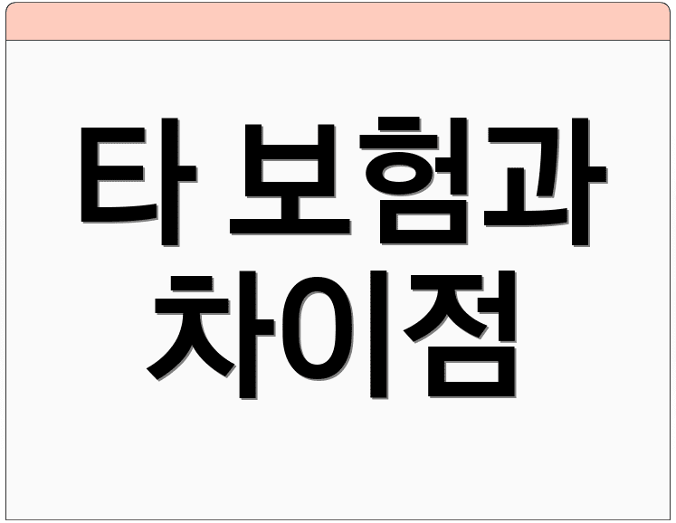 타 보험과 차이점