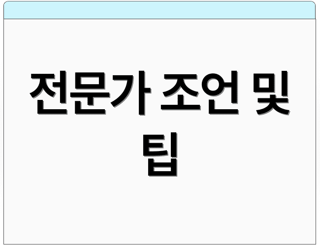 전문가 조언 및 팁